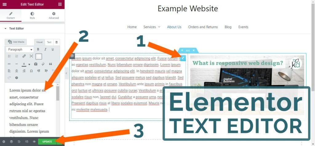The Elementor Text Editor