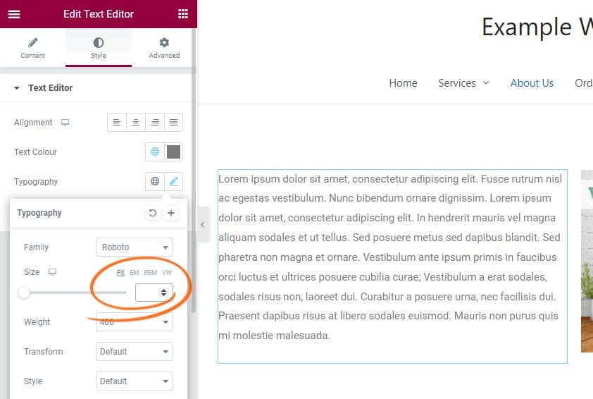 Typography Text Size, Elementor
